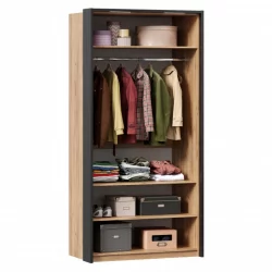 Шкаф двухстворчатый с паспарту Техно 03 Дуб Золотой