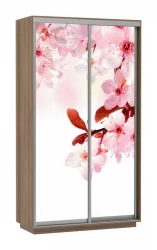 Шкаф-купе коричневый Экспресс Хит Сакура/Шимо тёмный