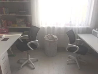 Кресло оператора CХАИРМАН 696 белый пластик (вхите) Серое / CHAIRMAN (white)