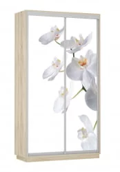 Шкаф-купе двухдверный Экспресс Дуо 1200х2200х Орхидея белая/Дуб сонома / 1200х2200h