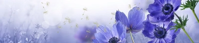 Глянцевый фартук с эффектом мерцания (КОМПОЗИТ) Анемона