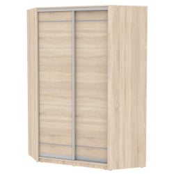 Шкаф-купе YA-230х1400-718-1(ДСС-D1D1)