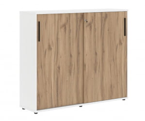 Шкаф с дверьми-купе ЕДИС ЕМC 1643 Дуб Денвер светлый Черный Белый / EDIS EMC