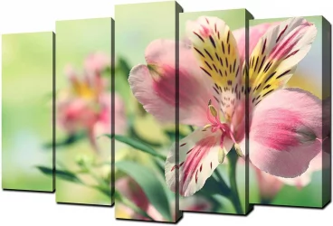 Модульная картина Toplight хсм TL-PM0010