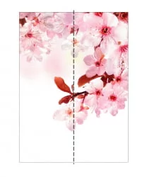 Шкаф-купе со стеклом Экспресс Дуо 1200х2400h Сакура/Белый снег