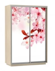 Шкаф-купе двухдверный Экспресс Дуо 1600х2200х Сакура/Ясень шимо светлый / 1600х2200h