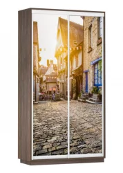 Шкаф-купе двухдверный Экспресс Дуо 1200х2400h Улица/Венге