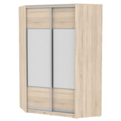 Шкаф-купе YA-230х1400-718-2(ДСС-D3D3)