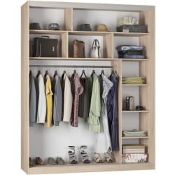 Шкаф-купе B-230х180х60-1(ДСС-D9D9D9)