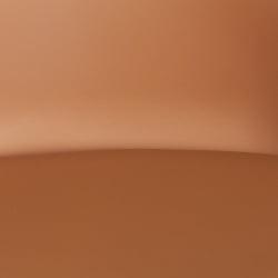 Мягкий стул TULIP (mod. 73-1) дерево/пластик/экокожа, 47,5x55x80 см, Бежевый (Latte)