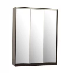 Шкаф-купе Бассо 4-600 Венге