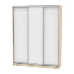 Шкаф-купе B-230х180х60-1(ДСС-Белый-D9D9D9)