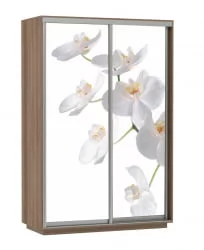 Шкаф-купе двухдверный Экспресс Дуо 1600х2200х Белая орхидея/Ясень шимо тёмный / 1600х2200h