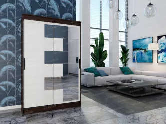 Шкаф-купе 22207