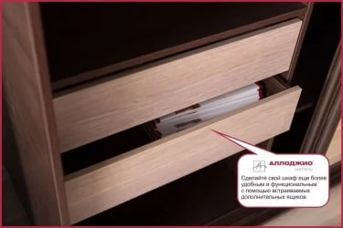 Шкаф-купе Хит-23-14-11 Ясень шимо темный