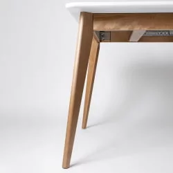 Стол обеденный Пегас Plus 160x95 Морилка Дуб золотой Эмаль белая