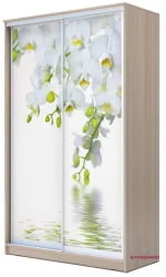 Шкаф-купе эконом Хит-23-14-77 Орхидея Ясень шимо светлый