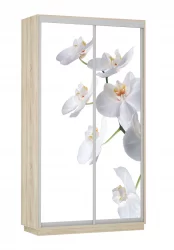 Шкаф-купе с фотопечатью Экспресс Дуо 1200х2400х Орхидея белая/Дуб сонома / 1200х2400h