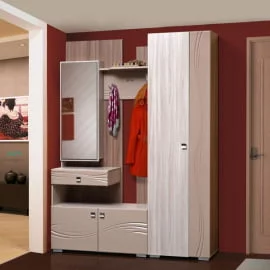 Прихожая Визит-5 (вар.№2)