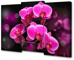 Модульная картина Toplight TL-M2074