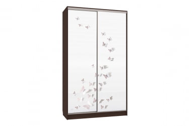 Шкаф-купе Рио 7-600 18 СК-04Р21 венге / SK-04R21