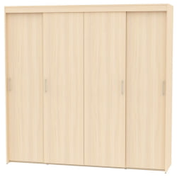 Шкаф-купе T-5-230х235х45(ДМ-8)