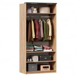 Шкаф двухстворчатый Техно ЛД 678.131.000.002 Дуб Золотой