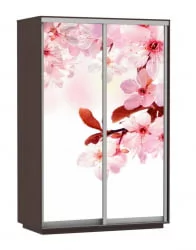 Шкаф-купе двухдверный Экспресс Дуо 1400х2400х Сакура/Венге / 1400х2400h