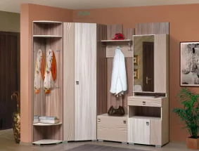 Прихожая Визит-5