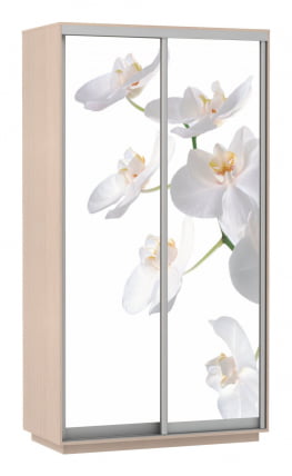 Шкаф-купе двухдверный Экспресс Хит Орхидея белая/Дуб молочный_0