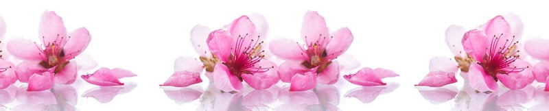 Глянцевый фартук (КОМПОЗИТ) KM 182_0