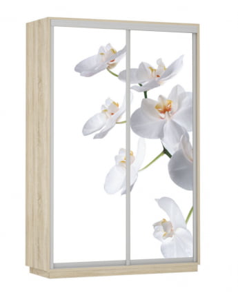 Шкаф-купе двухдверный Экспресс Дуо 1600х2200х Белая орхидея/Дуб сонома / 1600х2200h_0