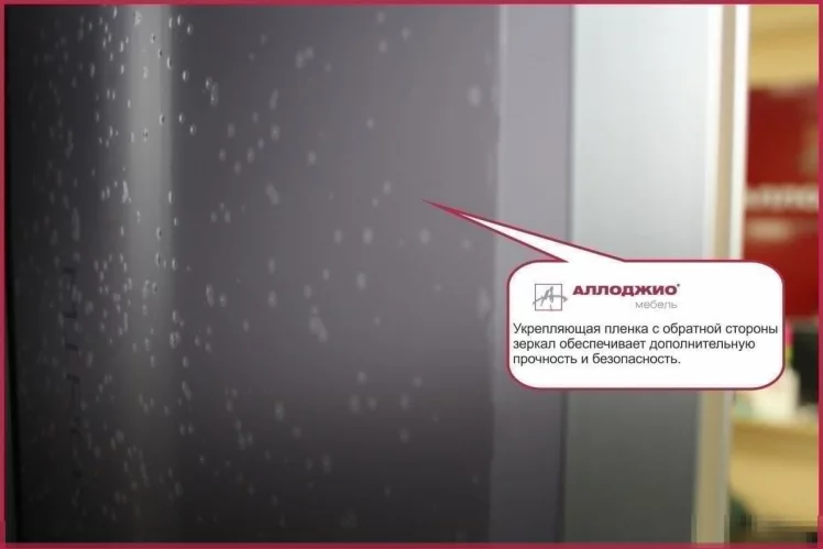 Шкаф-купе Хит-24-14-15 Ясень шимо темный_3