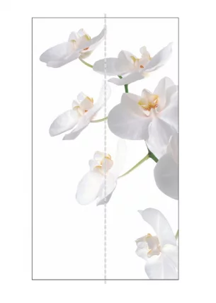 Шкаф-купе двухдверный Экспресс Хит Орхидея белая/Белый снег_2