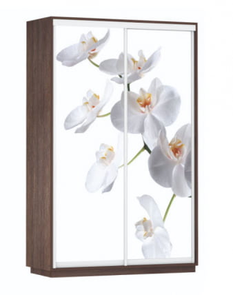 Шкаф-купе двухдверный Экспресс Дуо 1600х2200х Белая орхидея/Венге / 1600х2200h_0
