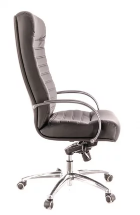 Кресло для руководителя Orion AL M экокожа Черный_2