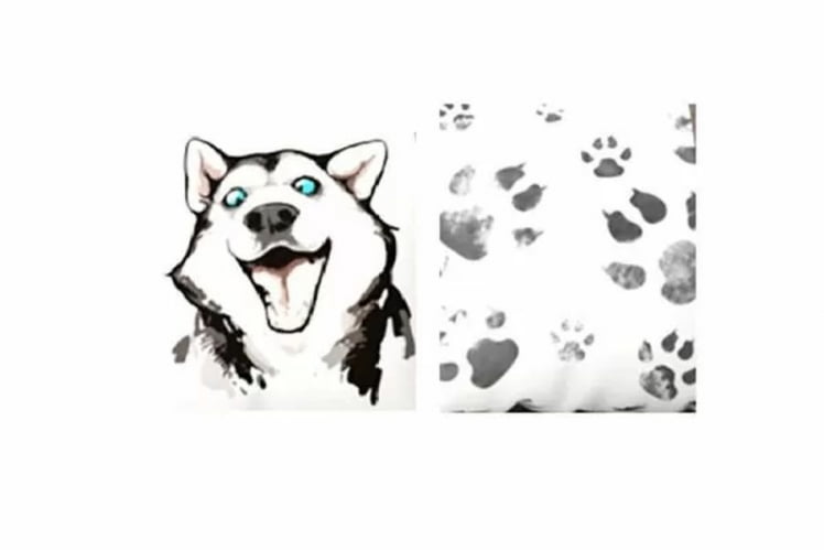 Комплект мебели для комнаты подростка Хаски №01 Дуб Ирландский Мокко Белый_3