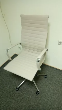 Кресло руководителя Everprof Rio М экокожа Бежевый_6