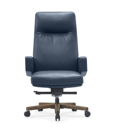 Кресло Rafael A2119 Синий_4