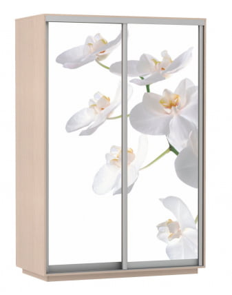 Шкаф-купе двухдверный Экспресс Дуо 1600х2200х Белая орхидея/Дуб молочный / 1600х2200h_0