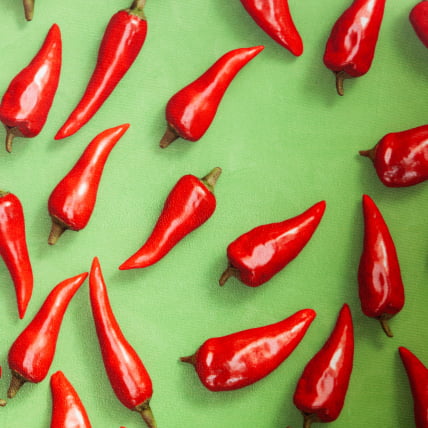 Кресло MELODY ткань/флок, олива, Botanica 03 pepper/23_8