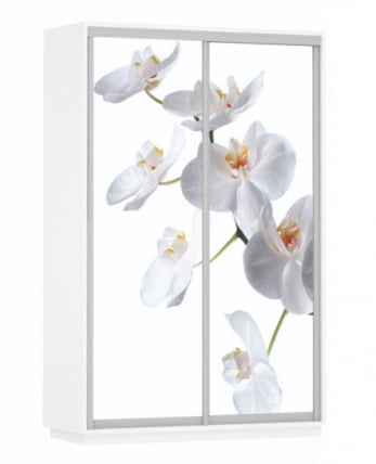 Шкаф-купе двухдверный Экспресс Дуо 1600х2200х Белая орхидея/Белый снег / 1600х2200h_0