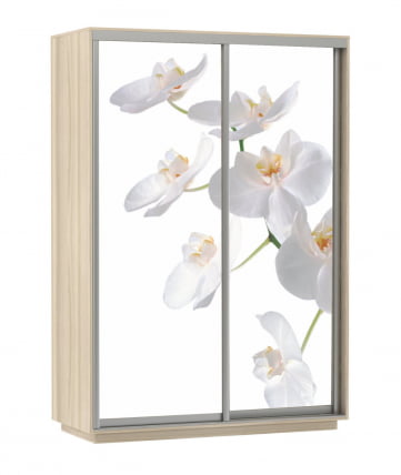Шкаф-купе двухдверный Экспресс Дуо 1600х2200х Белая орхидея/Ясень шимо светлый / 1600х2200h_0