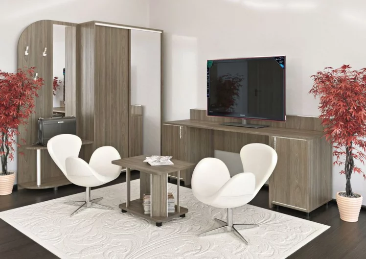 Прихожая-купе комбинированная LIGHT С-ПК-39 Вяз Благородный_1