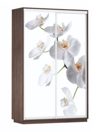 Шкаф-купе двухдверный Экспресс Дуо 1600х2400h Белая орхидея/Венге_0