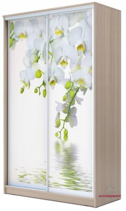 Шкаф-купе Хит-24-17-77 Орхидея Ясень шимо светлый_0