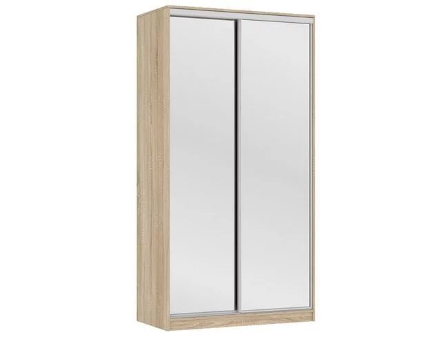 Шкаф-купе Рио-4 Дуб сонома_0