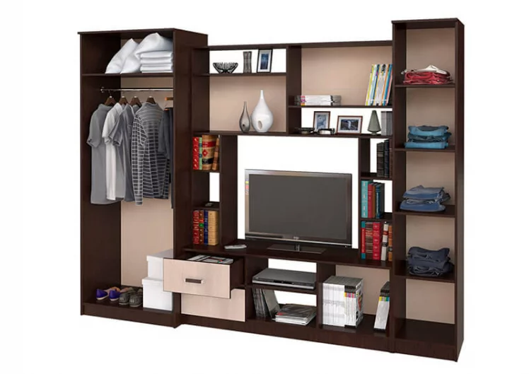 Гостиная Флора Венге Дуб Беленый_1