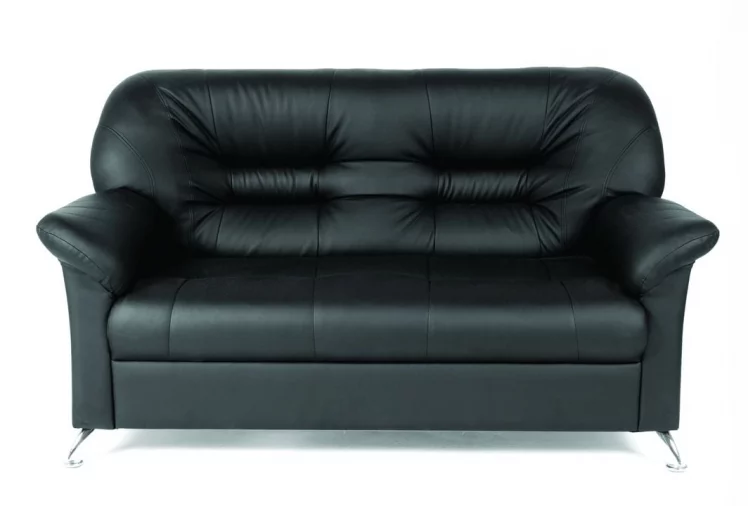 Двухместный диван Парм_ Terra 106_0