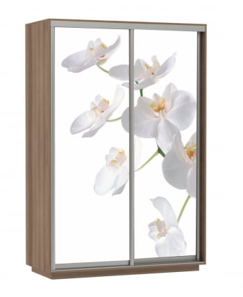 Шкаф-купе двухдверный Экспресс Дуо 1600х2200х Белая орхидея/Ясень шимо тёмный / 1600х2200h_0